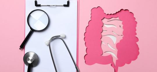 Papierowy model jelit obok notatnika, szkła powiększającego i stetoskopu lekarskiego.