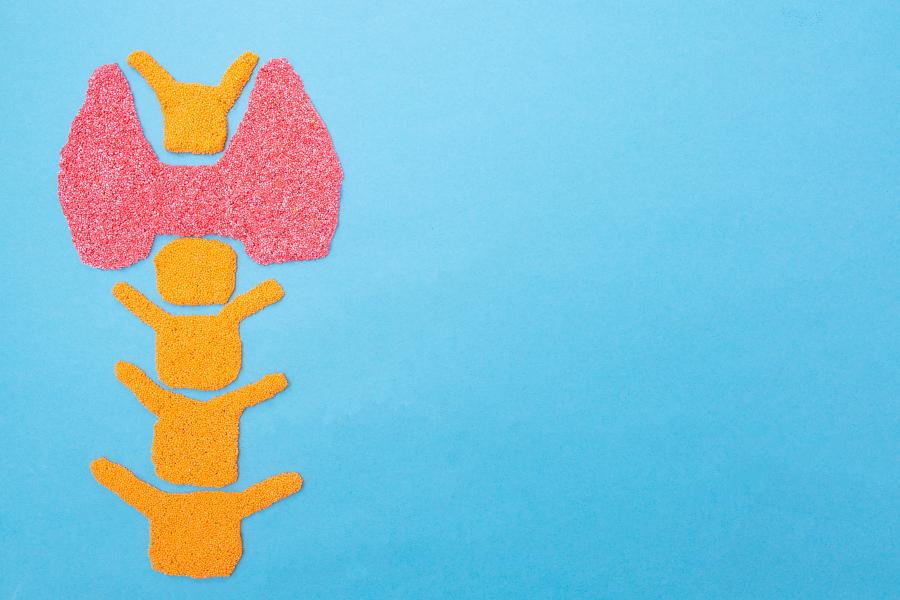 Scyntygrafia tarczycy - wskazania i przebieg badania