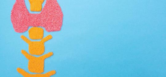 Scyntygrafia tarczycy - wskazania i przebieg badania