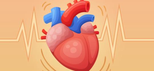 Rysunkowe, bijące serce na pomarańczowym tle z widoczną linią obrazującą tętno.