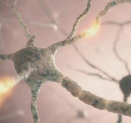 Stwardnienie rozsiane: rodzaje, rozpoznanie, sposoby leczenia