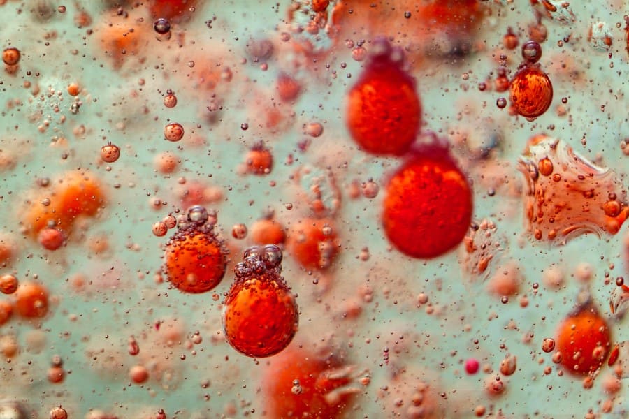 Grafika przedstawiająca czerwone krwinki.