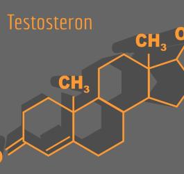 Wzór chemiczny testosteronu.