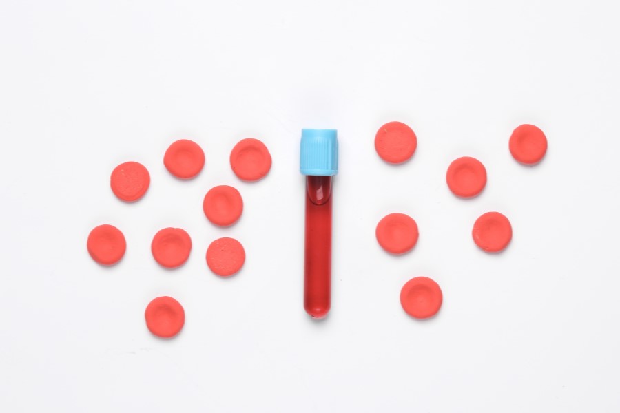 Fiolka zawierająca krew, obok modele czerwonych krwinek.