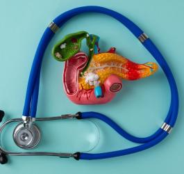Model trzustki ze stetoskopem.