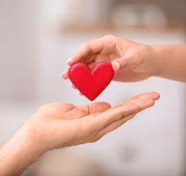 Drewniany model serca przekazywany z ręki do ręki.