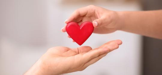 Drewniany model serca przekazywany z ręki do ręki.
