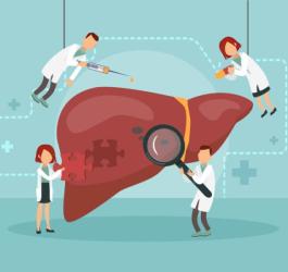 Rysunkowi lekarze badają i leczą chorą wątrobę.