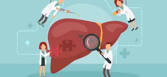Rysunkowi lekarze badają i leczą chorą wątrobę.
