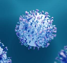 Cząsteczka wirusa RSV.