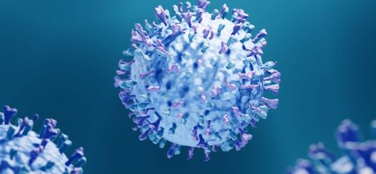 Cząsteczka wirusa RSV.