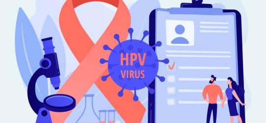 Grafika 2D przedstawiająca rysunkowe postaci zasięgające wiedzy nt. wirusa HPV.