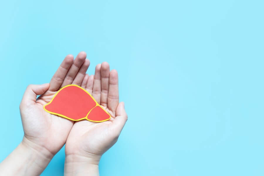 Niebieskie tło. Na złączonych dłoniach leży wycięty z papieru model wątroby.