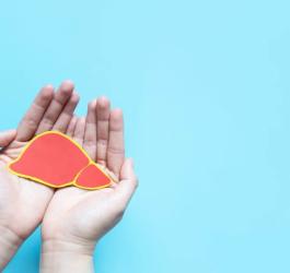 Niebieskie tło. Na złączonych dłoniach leży wycięty z papieru model wątroby.