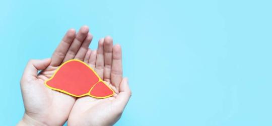 Niebieskie tło. Na złączonych dłoniach leży wycięty z papieru model wątroby.