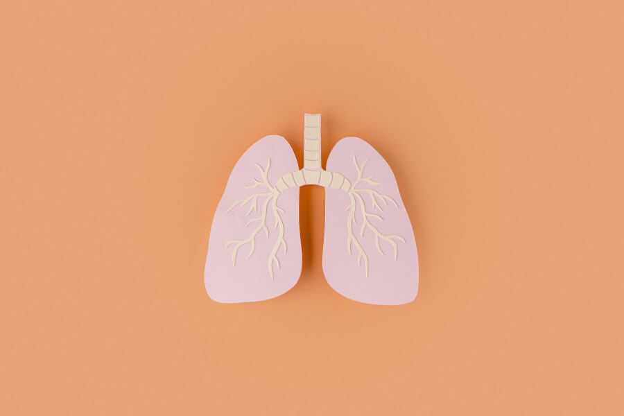 Papierowy model ludzkich płuc na pomarańczowym tle.
