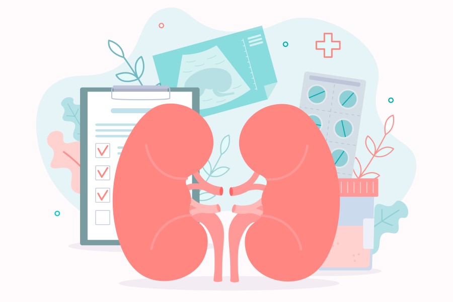 Grafika 2D prezentująca nerki oraz procedury medyczne dotyczące diagnostyki chorób i leczenia.