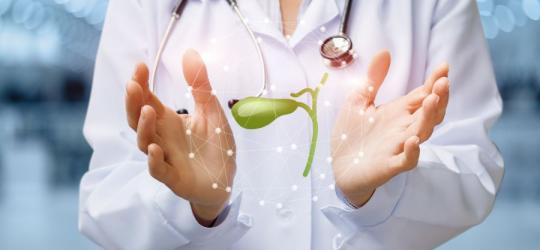 Woreczek żółciowy (pęcherzyk żółciowy)