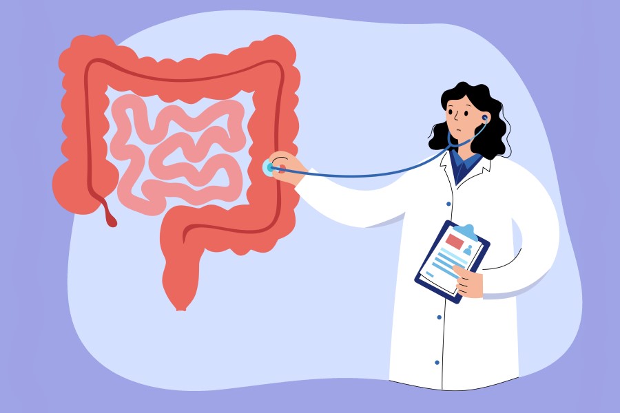 Rysunkowa lekarka bada model jelita cienkiego i grubego.