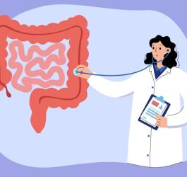 Rysunkowa lekarka bada model jelita cienkiego i grubego.