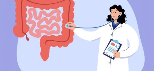 Rysunkowa lekarka bada model jelita cienkiego i grubego.