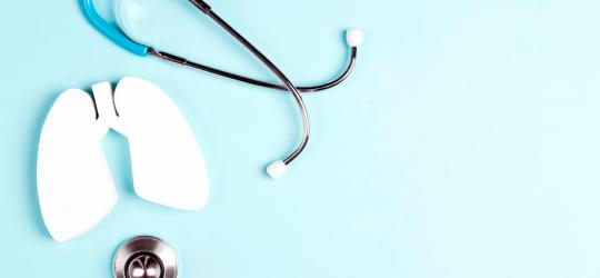 Stetoskop i papierowy model płuc. Zapalenie płuc to jedna z częstszych chorób tego narządu.