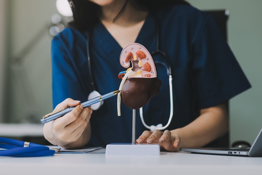 Lekarka objaśnia funkcje nerek i objawy zespołu Alporta.