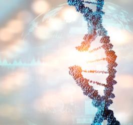 Model łańcucha DNA z widocznym uszkodzeniem, sugerującym chorobę genetyczną.