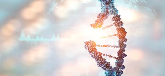 Model łańcucha DNA z widocznym uszkodzeniem, sugerującym chorobę genetyczną.