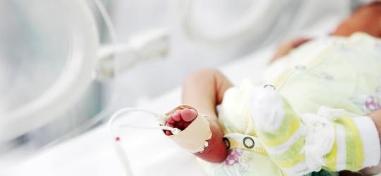 Noworodek w inkubatorze.