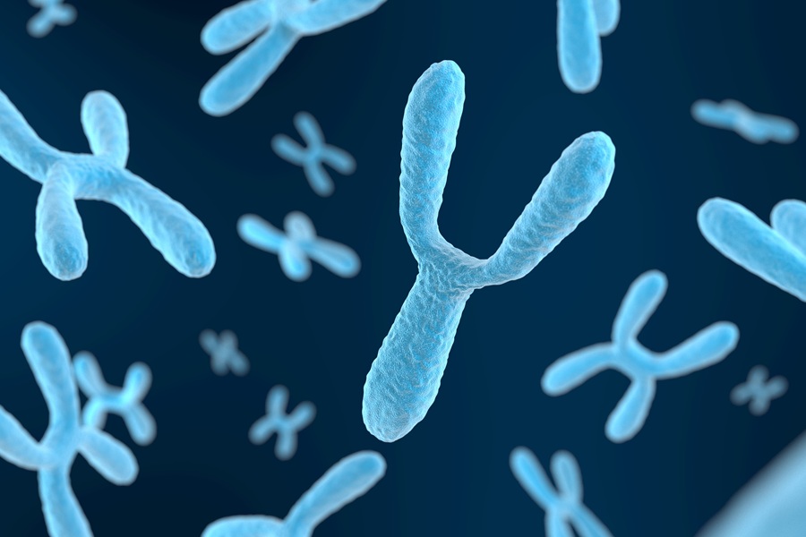 Chromosomy X i Y.