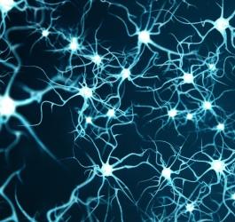 Grafika 3D przedstawiająca siatkę komórek nerwowych.