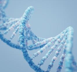 Model 3D łańcucha DNA.