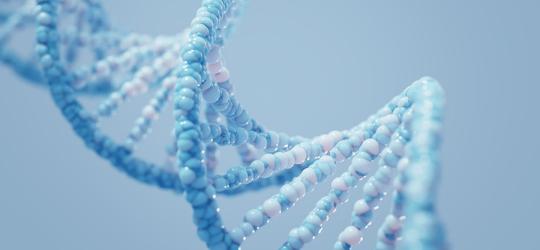 Model 3D łańcucha DNA.