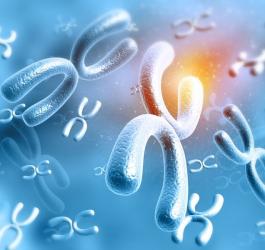 Grafika 3D przedstawiająca chromosomy.
