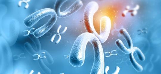 Grafika 3D przedstawiająca chromosomy.